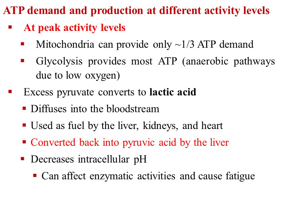 Three energy system that are responsible to the production of atp essay